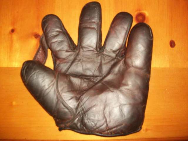 Thomas E. Wilson 651 1 Inch Web Front